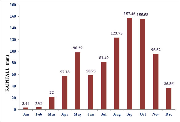 Monthly rainfall graph