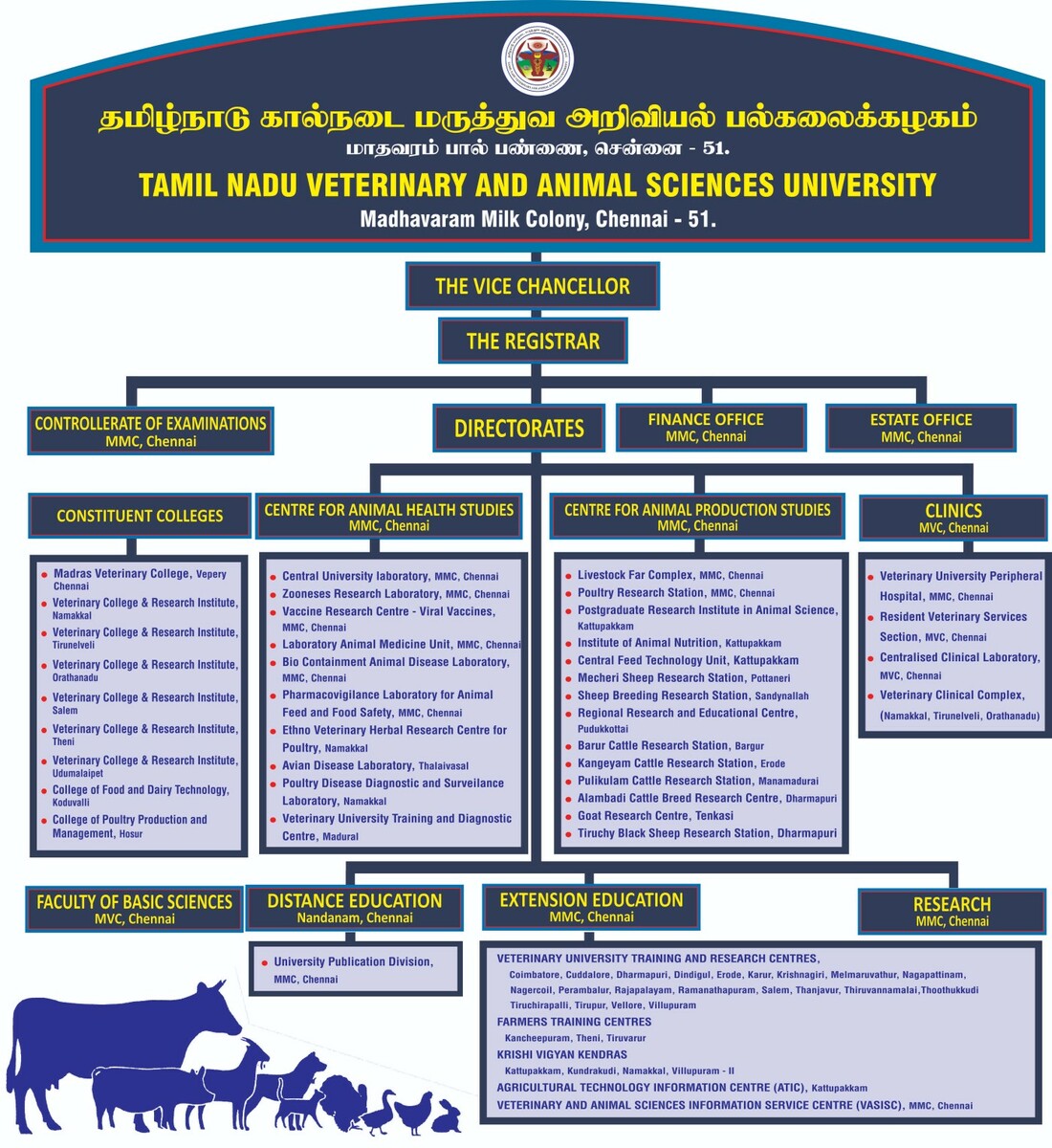 organogram